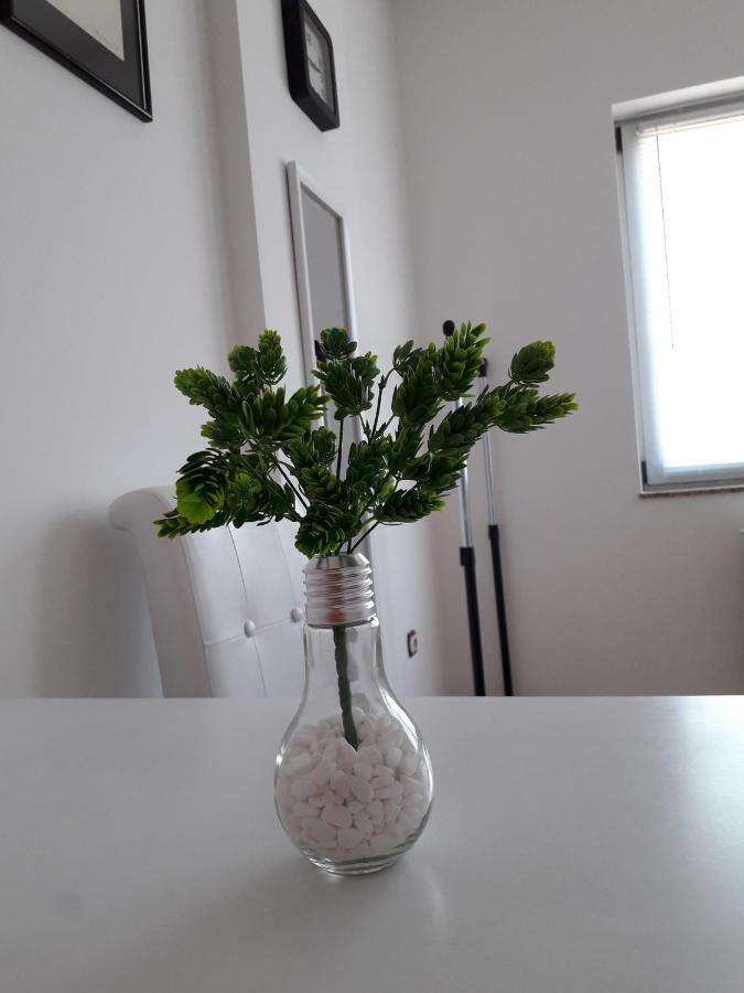 Apartman Dunja Ns 2 Novi Sad Exteriér fotografie