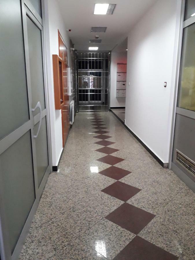 Apartman Dunja Ns 2 Novi Sad Exteriér fotografie